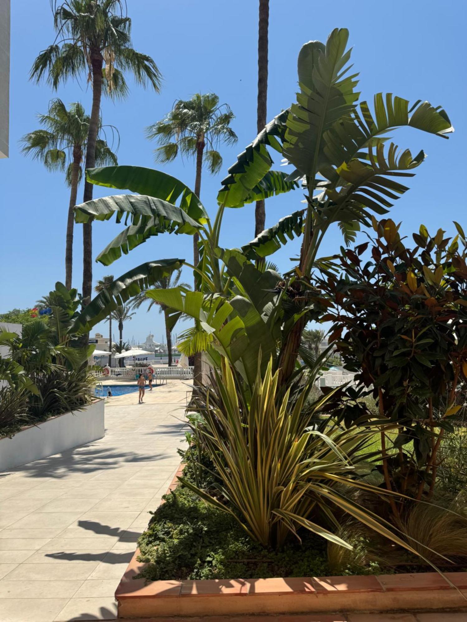 Appartamento Piso509 Benalmádena Esterno foto
